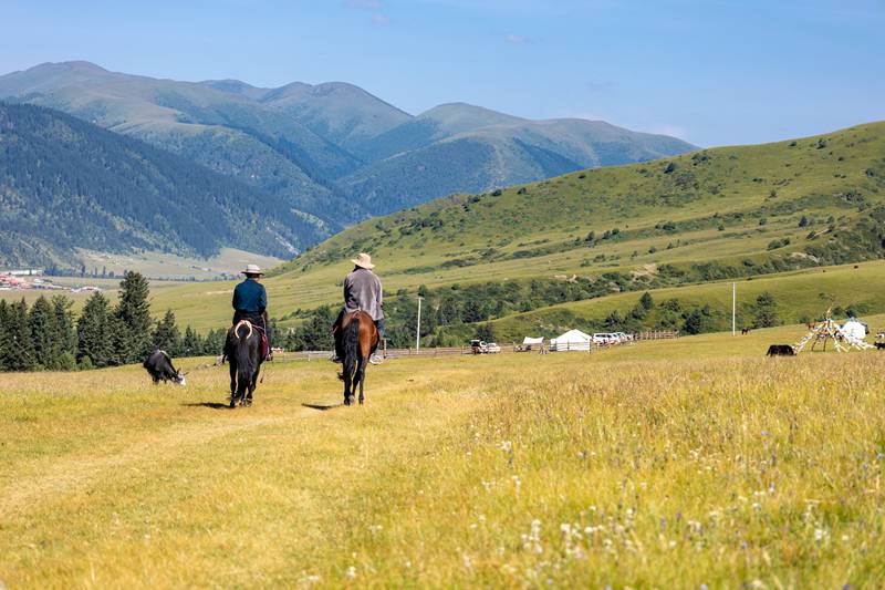 成都出发，海螺沟三日跟团游真实体验，冰川脚下，我找到了暂停时间的开关-第1张图片-甘孜旅游